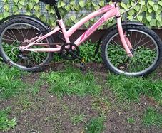 bikes