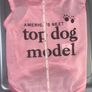 Dog T-shirts Image 6