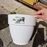 pot and hanger Image 3