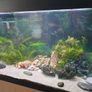 240l aquarium for sale Image 6