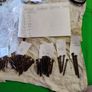 Antique Domehead Slotted screws Image 2