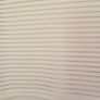 White Top Image 2