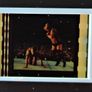 Wrestlemania 24 - Metal Case - Colletors Edition Image 4