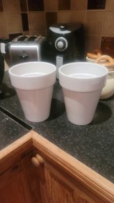Ceramic Infoor/Outdoor Plant Pots x2