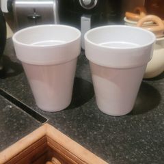 Ceramic Indoor and Outdoor Plant Pots x2