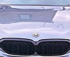 BMW G30 Pre lci kidney grill