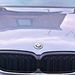 BMW G30 Pre lci lidney grill