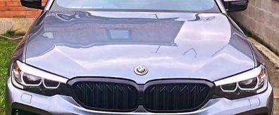 BMW G30 Pre lci lidney grill