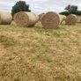 2026/25 hay for sale Image 7