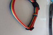 Dukier Rainbow Dog Collar (small)