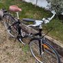 Trek Allant Trekking Bike Image 5