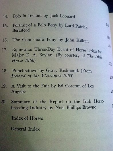 The horse in Ireland