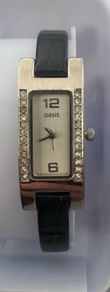 Oasis Watch.