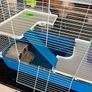 hamster cage Image 3