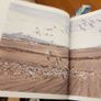 . Birds In Norfolk. A National & International Perspective By Andt Brown FABOLOUS LARGE VOLUME BOOK. In very good condition. . James Mccallum. Image 10