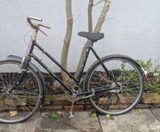Raleigh