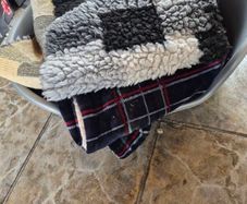 free dog bed and blankets