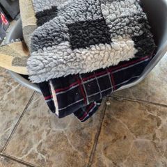 free dog bed and blankets