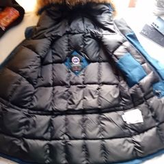 Canadian goose