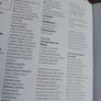 ITALIAN Travel Guides for Dublin and Ireland Image 3