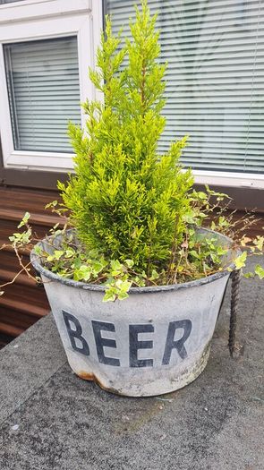 Pub