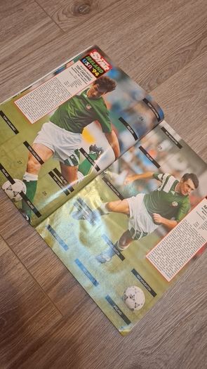 Ireland USA 94 Sticker Collection Book