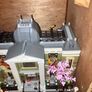 Lego Natural History Museum set 10326 Image 4