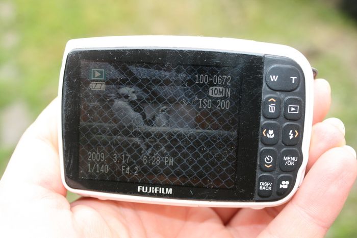 Fujifilm Digital Camera FinePix Z30 10.0MP Tested