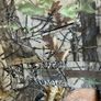 Hillman hunting shooting men's trousers Image 6
