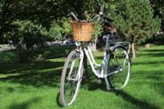 Popal Ladies Dutch Bike 28 Inch Wheels 3 Speed Wicker Basket