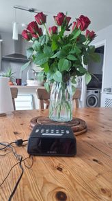 radio alarm Roberts