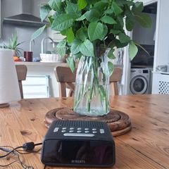 radio alarm Roberts