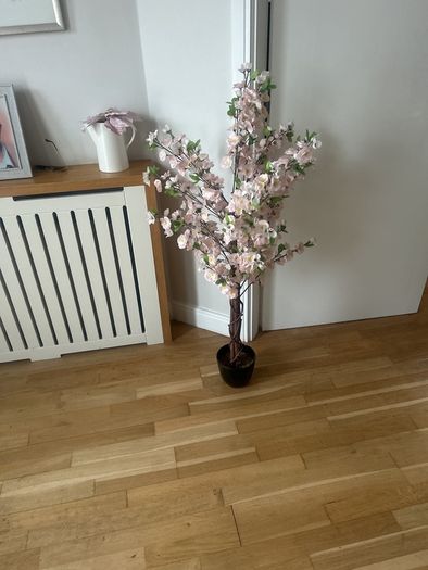 flower plant