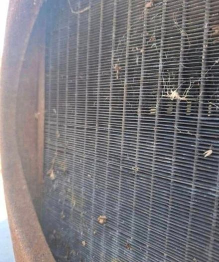 Vintage Original MINI Car Radiator