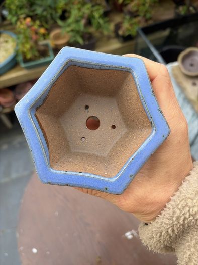 bonsai pot