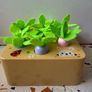 wooden toy sorting carrot game Image 2