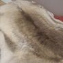 Genuine Reindeer Hide rug Image 4