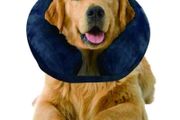 Soft dog cone recovery pillow