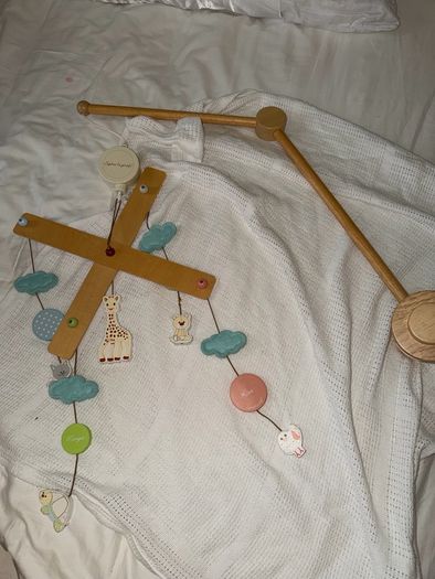 Cot mobile and arm