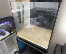 redsea Nano 75 L and stand