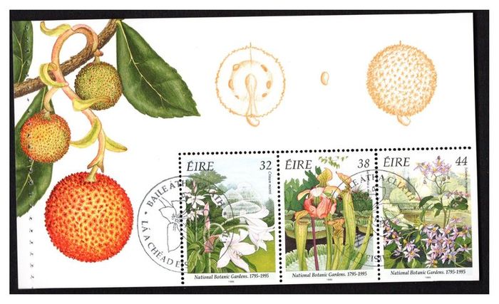 1995 Ireland National Botanic Gardens Stamp Booklet with First Day of Issue Pictorial Cancel.