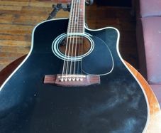 takamine ef341sc