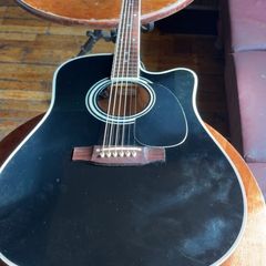 takamine ef341sc