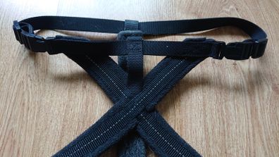 Padded Harness