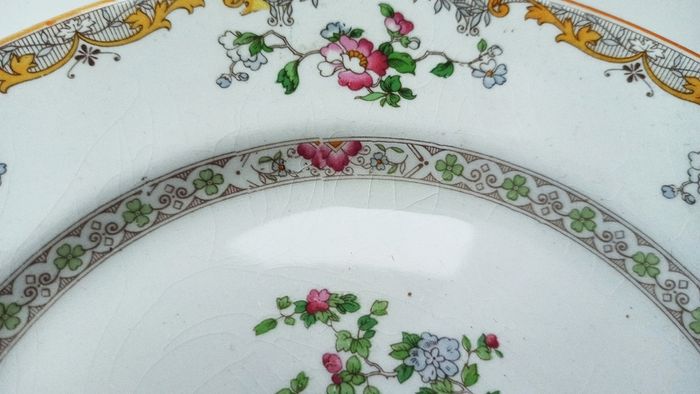 Myott Son & Co  plate "The Burton" discontinued design