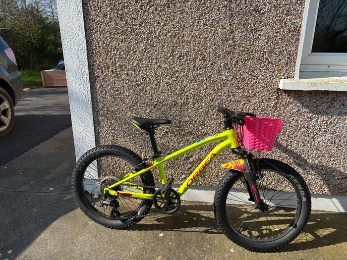 Orbea mountain bike