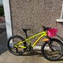 Orbea mountain bike Image 6
