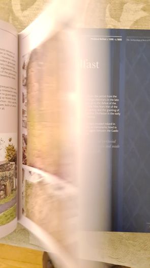 Hidden History Below Our Feet. By Ruairi O Baoill. The Archaeological Story Of Belfast. Large Volume Book In Very Good Condition.