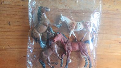 Horses