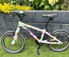 Frog 48 Bike